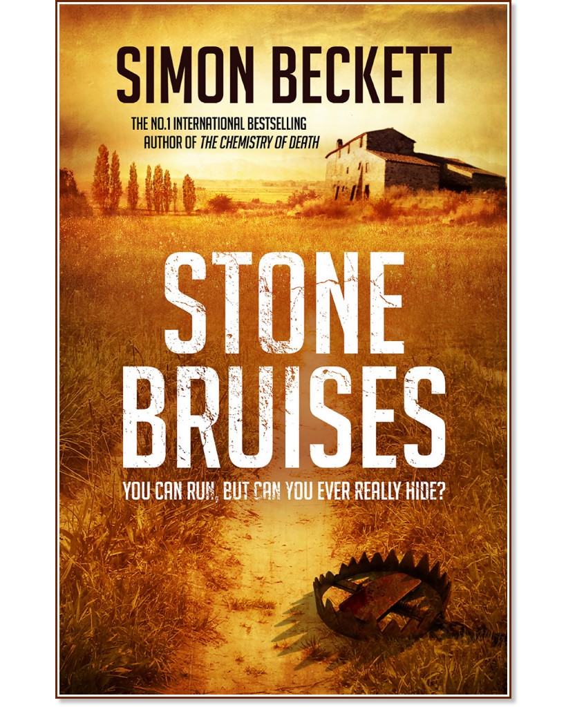 Stone Bruises - Simon Beckett - 