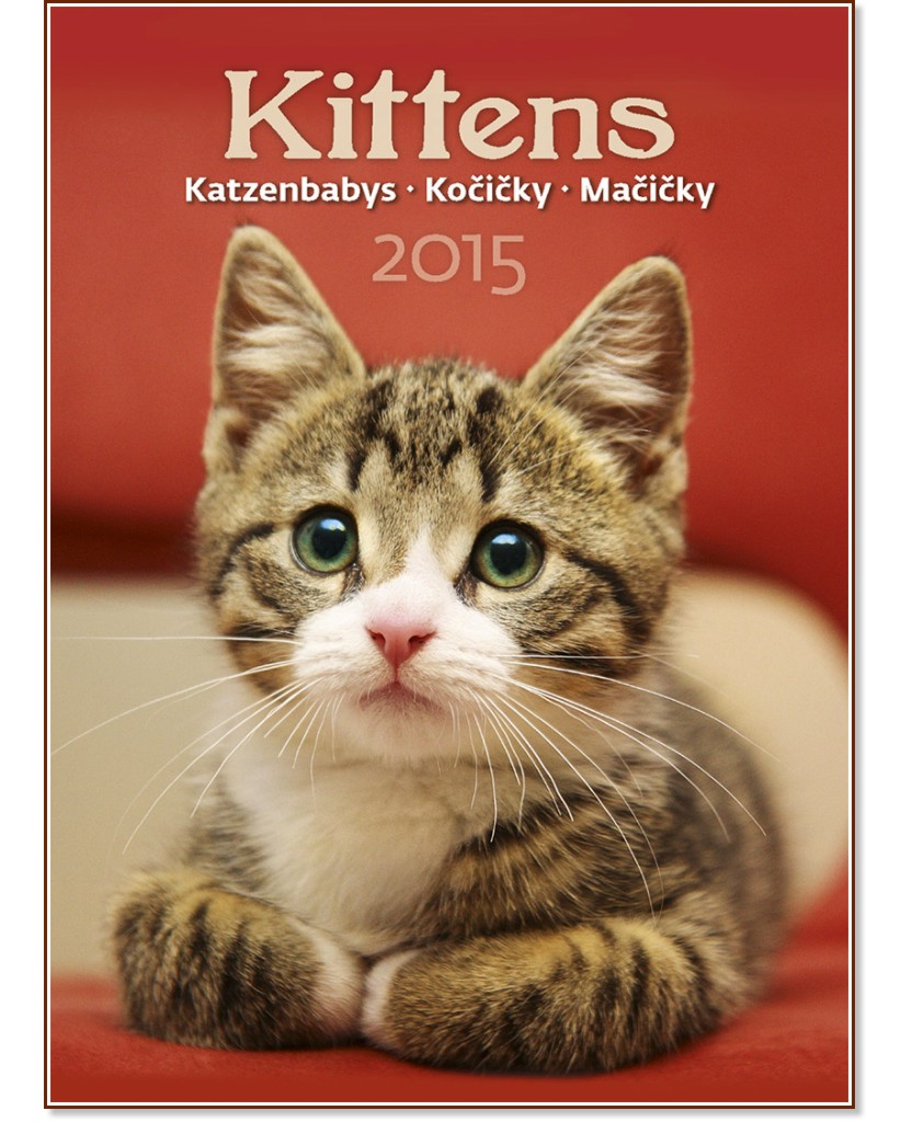   - Kittens 2015 - 