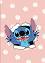   - Stitch :  A5    - 40  - 