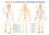 ����� �� ������������ ��������� ��������� - 64 x 46.7 cm - �����