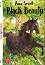 Black Beauty - Beginner A1 - Anna Sewell -  
