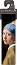 �������� ��������������� Classics - Girl with a Pearl Earring - ��������