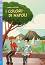 I colori di Napoli - Elementare A2 - Marta Natalini -  
