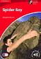 Cambridge Experience Readers: Spider Boy -  Beginner/Elementary (A1) BrE - Margaret Johnson - 