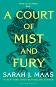 A Court of Thorns and Roses - book 2: A Court of Mist and Fury - Sara J. Maas - 