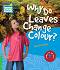 Cambridge Young Readers -  3 (Beginner): Why Do Leaves Change Colour? - Rachel Griffiths - 