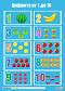   :   1  10 - 50 x 70 cm - 