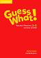 Guess What! -  1  2:         +  CD-ROM - Camilla Mayhew -   