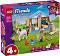 LEGO Friends - ����������� ������� - ������ ����������� - �������