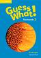 Guess What! -  2:     - Susannah Reed - 