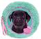 ������ ������� � 2 ���������� Paso - ���� - �� ������� Paso: Studio Pets - �������
