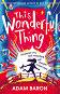 This Wonderful Thing - Adam Baron - 