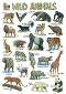      : Wild Animals - 52 x 77 cm - 