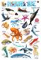     : Marine Life - 52 x 77 cm - 