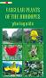 Vascular Plants of the Rhodopes photoguide - Vladimir Vladimirov - 