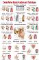 Dental Nerve Blocks: Anatomy & Techniques - 80 x 100 cm - 