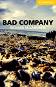 Cambridge English Readers - Ниво 2: Elementary/Lower Intermediate : Bad Company - Richard MacAndrew - 