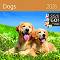 ������ �������� - Dogs 2026 - ��������
