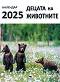   -    2025 - 