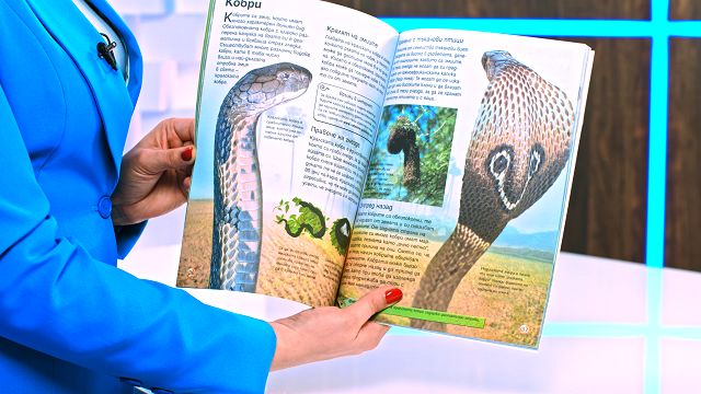 Змии - Енциклопедия на младия откривател - детска книга - store.bg