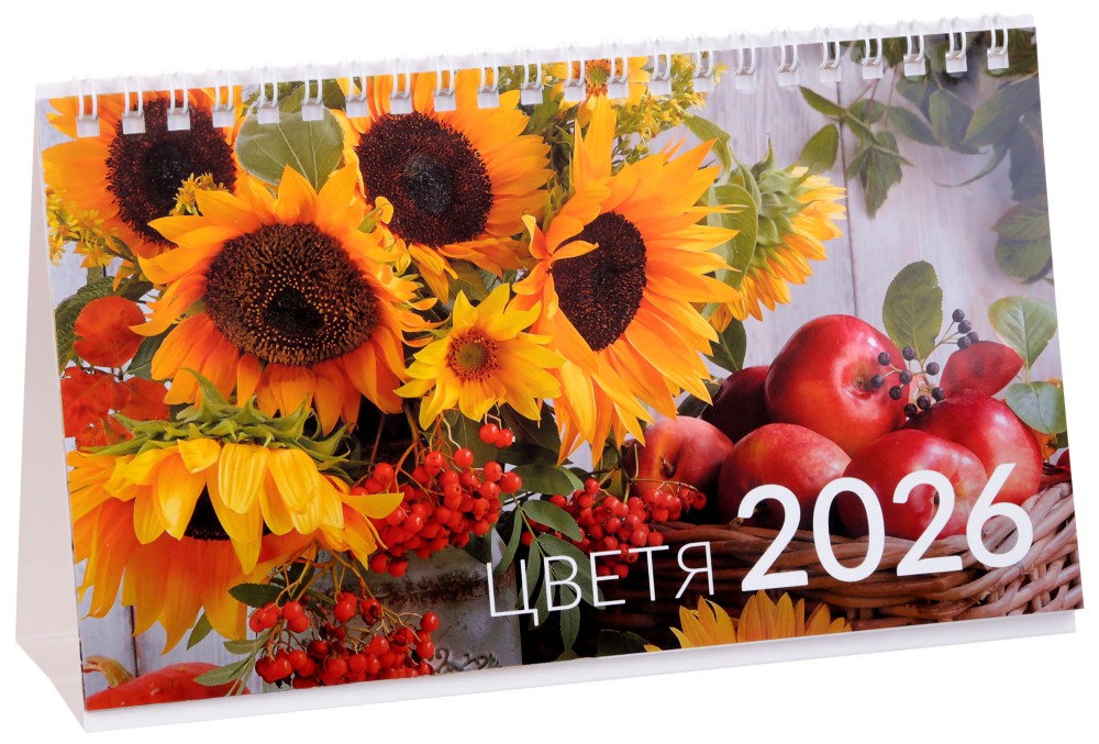   -  2026 - 