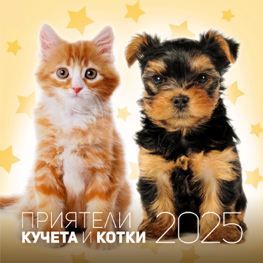   -    -  2025 - 