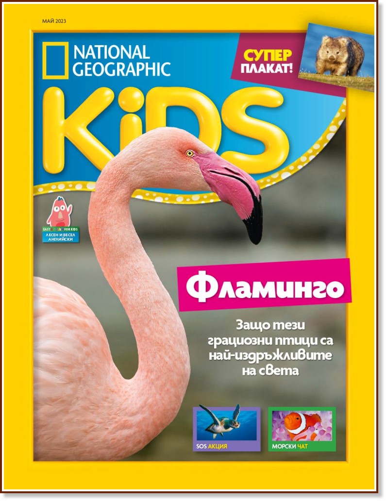 National Geographic Kids -  / 2023 - 