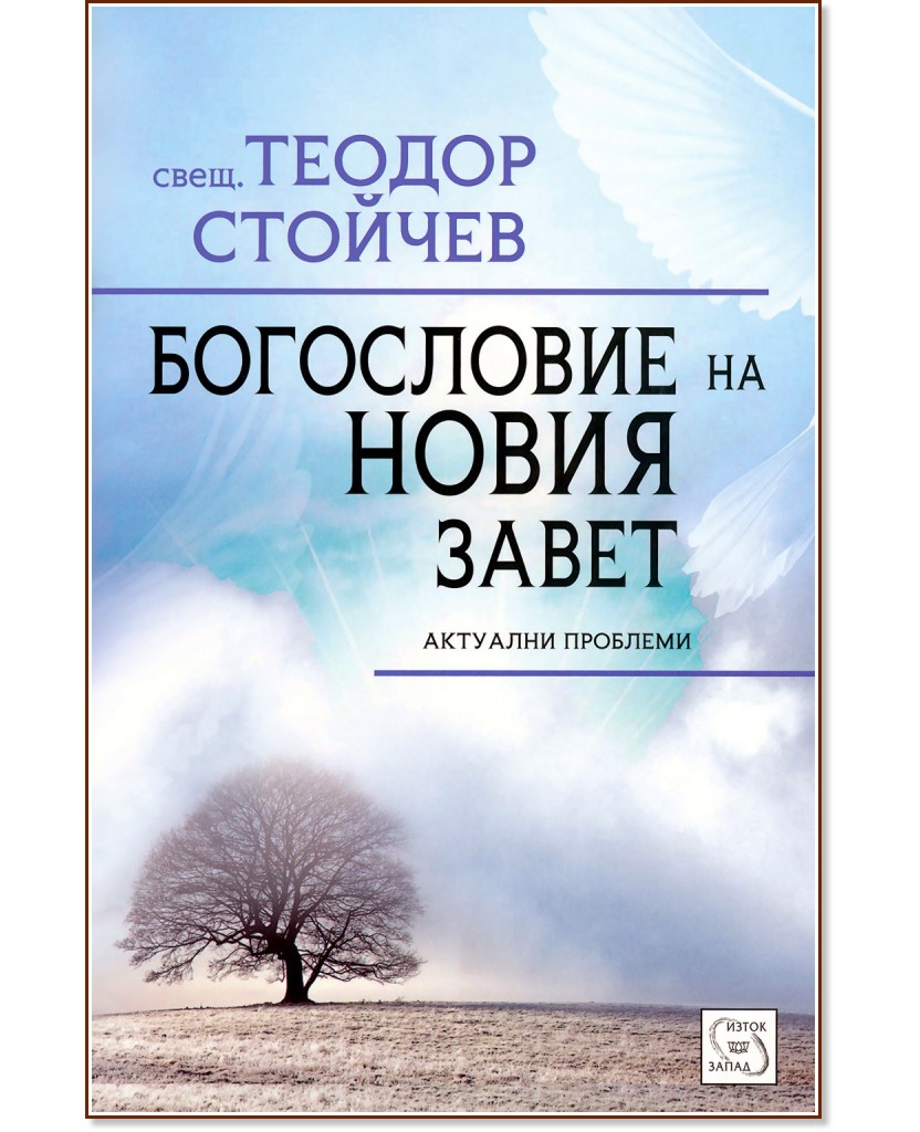 Богословие на Новия Завет - Теодор Стойчев - книга
