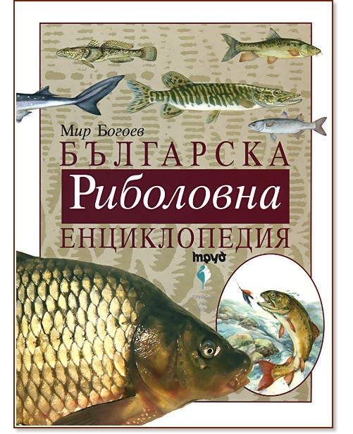 ��������� ��������� ������������ - ��� ������ - �����