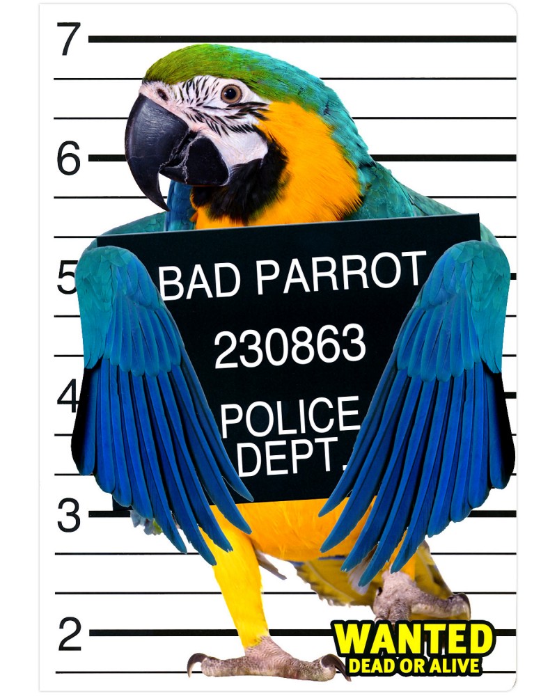 ���������� �������� - Bad Parrot - ������ A4 - ��������