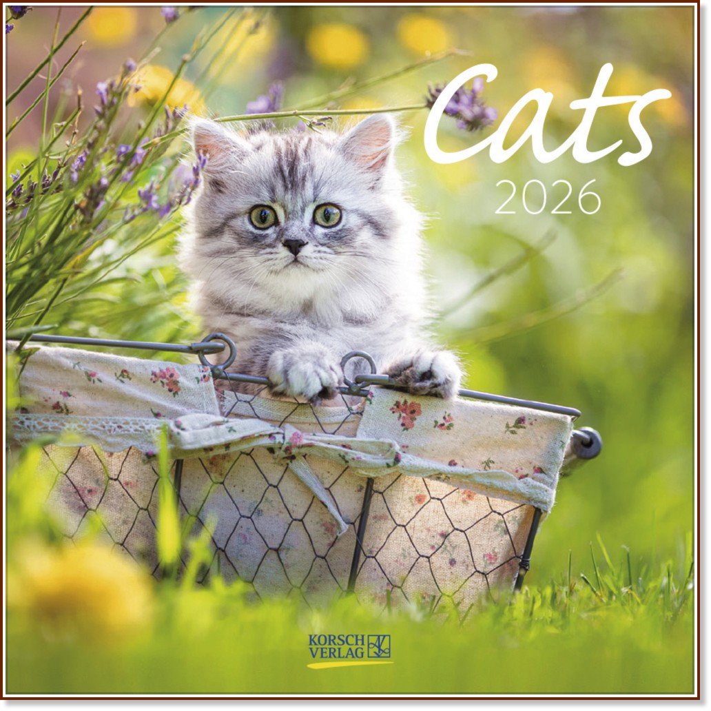   - Cats 2026 - 