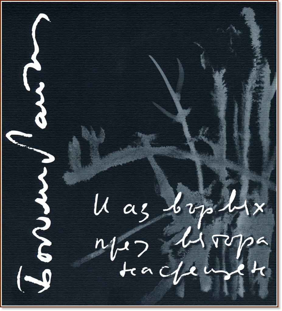 � �� ������ ���� ������ �������� - ������� ������ - �����