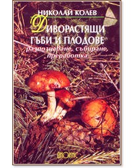 ����������� ���� � ������� - ������� ����� - �����