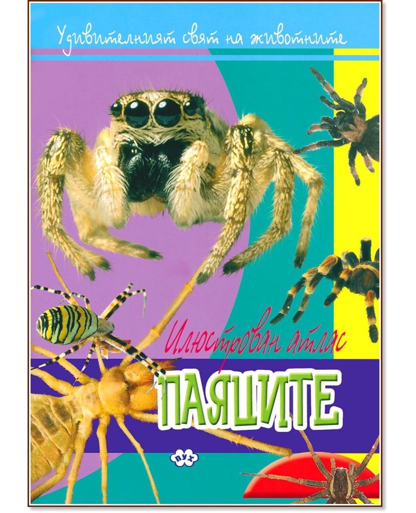    :  -  