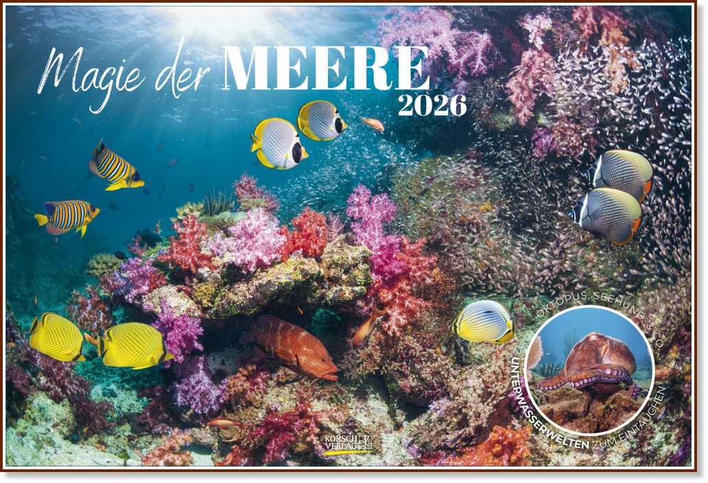   - Magic of the Seas 2026 - 