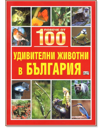 ������ �� 100 ���������� ������� � �������� - ������ ������, ������� ������ - �����