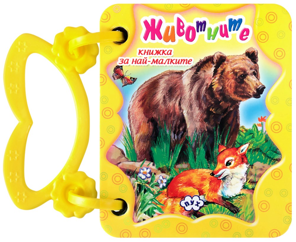 ������ � ������: ��������� - ����� � ������ - �����