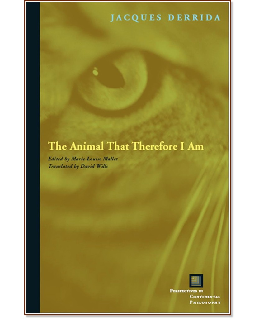 ���������, ����� ������������ ��� - ��� ������ - �����