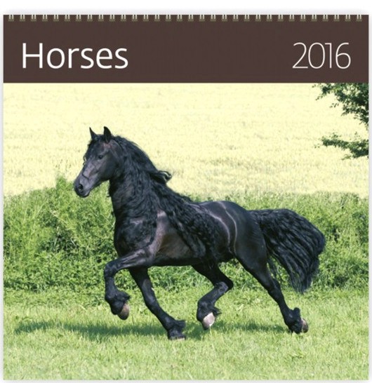   - Horses 2016 - 