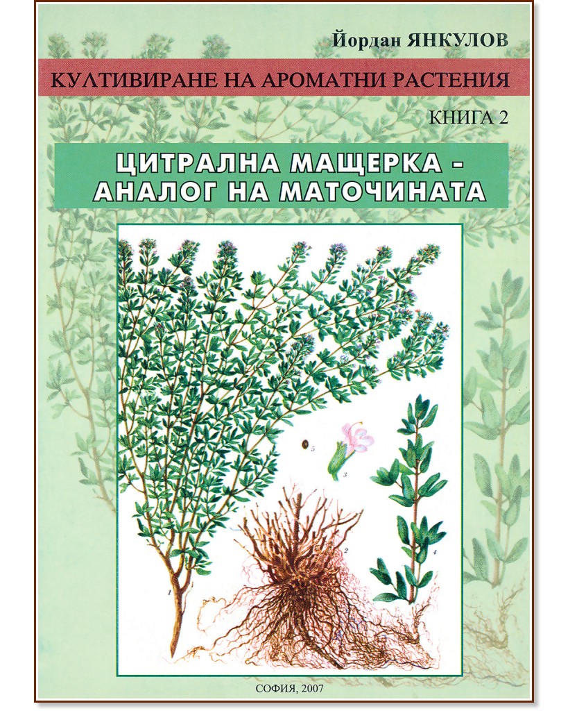 Култивиране на ароматни растения - книга 2: Цитрална мащерка - аналог на маточината - Йордан Янкулов - книга