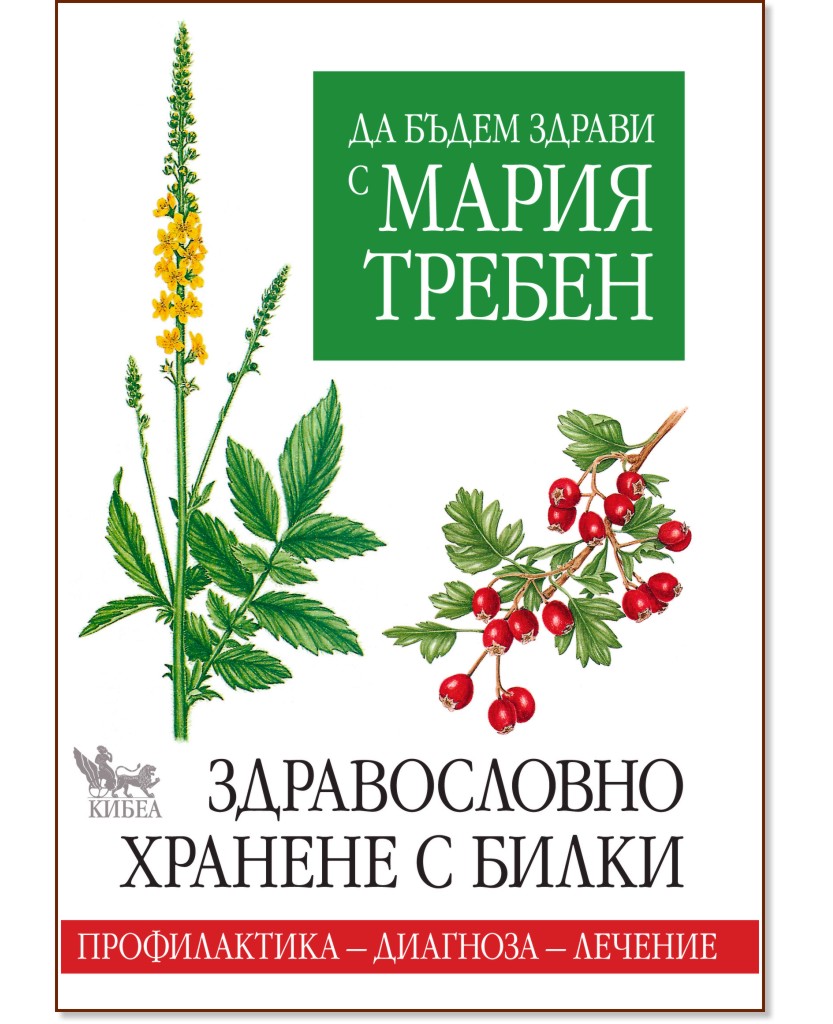 �� ����� ������ � ����� ������. ������������ ������� � ����� - ����� ������ - �����