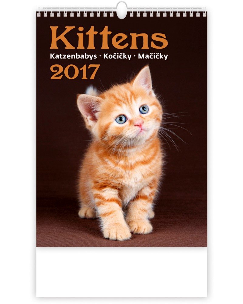   - Kittens 2017 - 