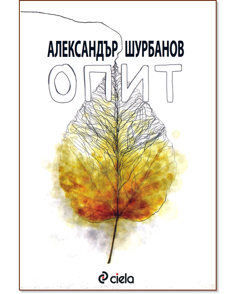 ���� - ���������� �������� - �����