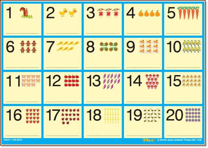   :   1  20 - 100  70 cm - 
