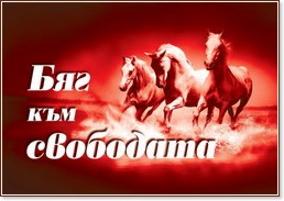 Колекция от знания: Бяг към свободата Колекция от знания: Бяг към свободата - книга