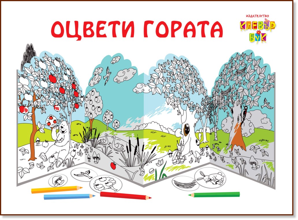 Модел за оцветяване: Оцвети гората + декоративни елементи - детска книга