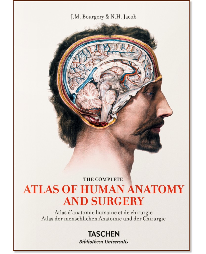 Atlas of Human Anatomy and Surgery - Jean-Marie Le Minor, Henri Sick - 