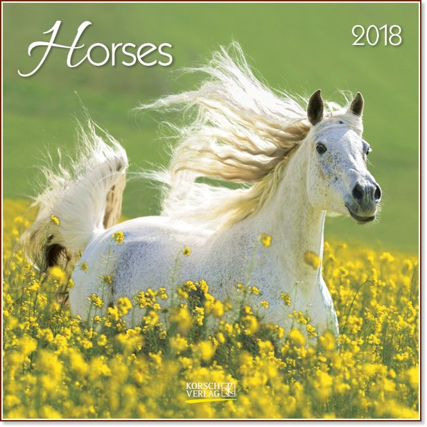   - Horses 2018 - 