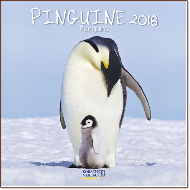   - Pinguine 2018 - 
