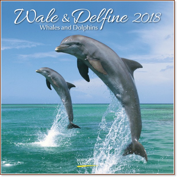   - Wale & Delfine 2018 - 